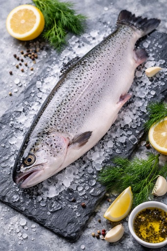 [FCO-Sea Trout] Sea Trout