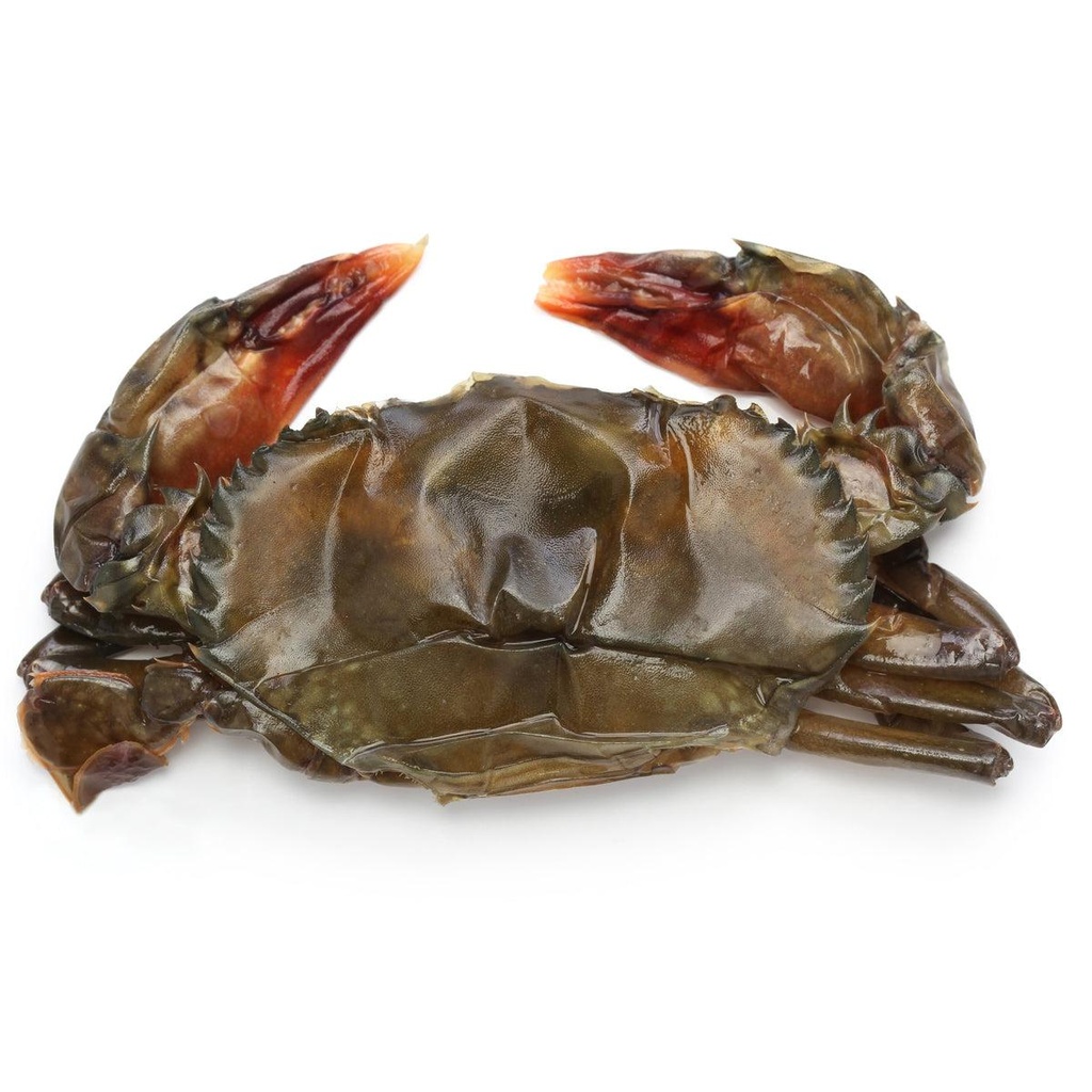 Crab Soft Shell Jumbo