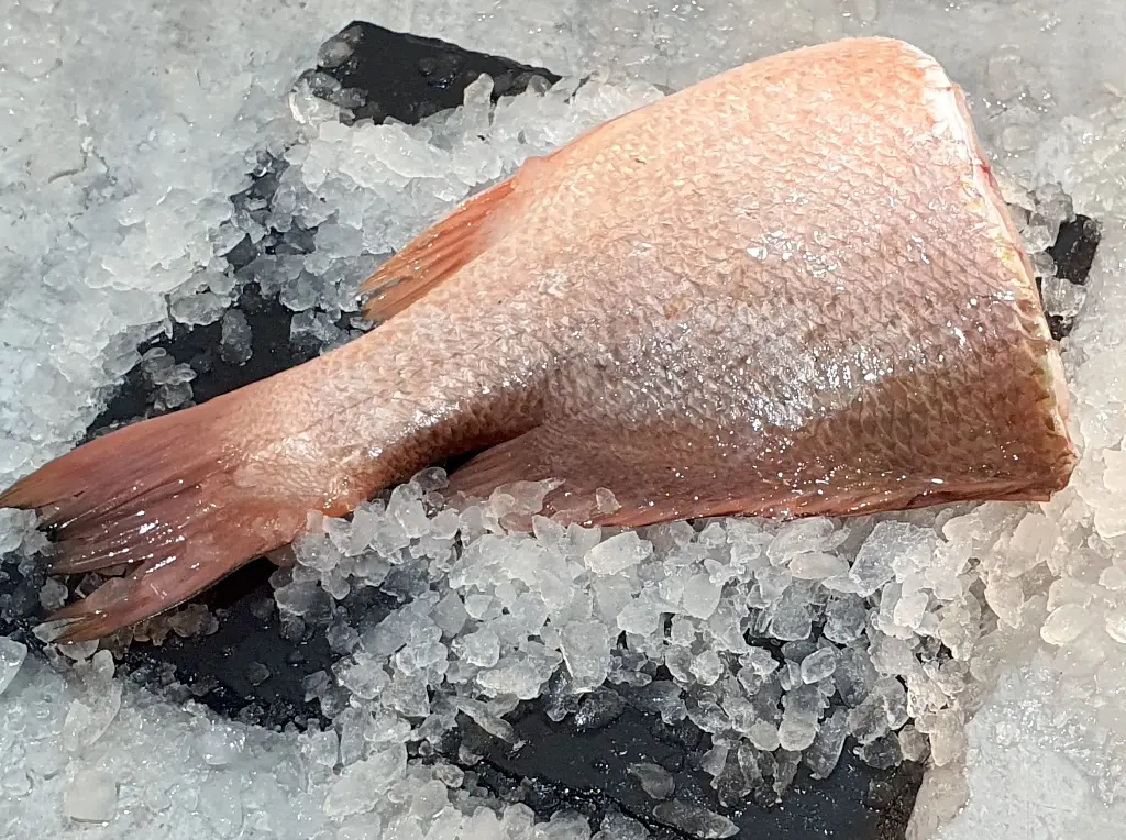  Crimson Snapper Fillet 6-8oz