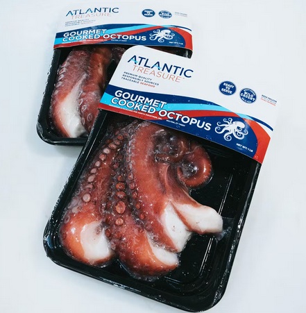Octopus Tentacles (Pre-Cooked) T3