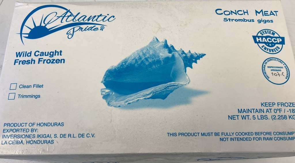Conch Honduras