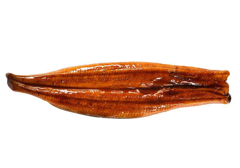 Unagi Eel Kabayaki