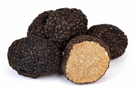 Fresh Truffle Scorzone