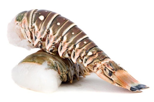 [FCO-Lobster Tail (Spiny) 10-12 oz] Lobster Tail 10-12 oz 