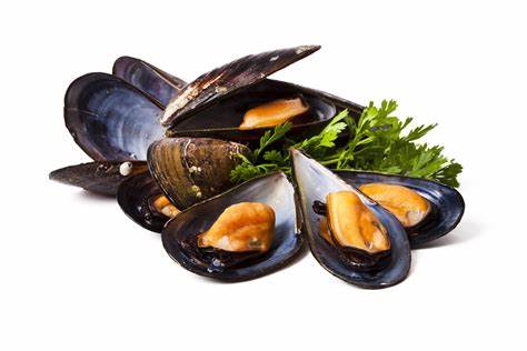 [WH1-FZ-FCO-20] Whole Cooked Black Mussels