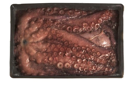 [FCO-Octopus Spanish 4-6 lbs] Octopus Spanish 4-6 lbs  